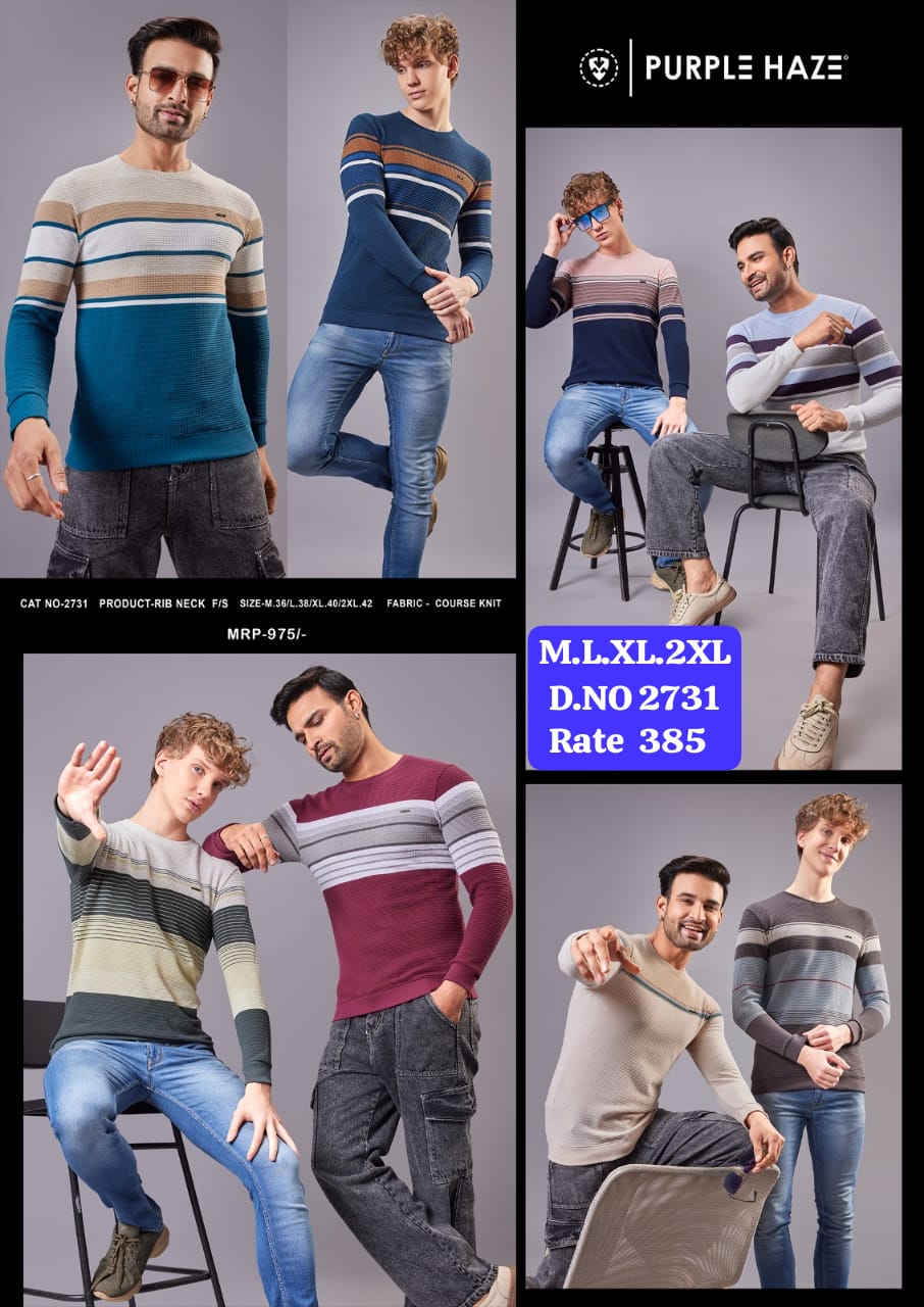 Men's Course Knit Colour Block Stripe Rib Neck Full Sleeve T-Shirt | Purple Haze